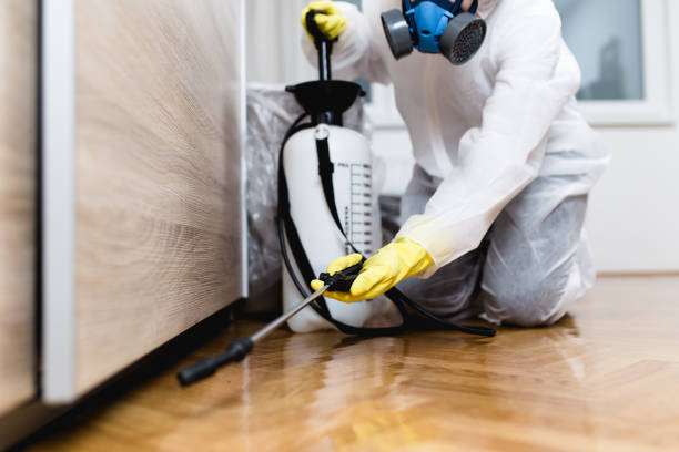 Best Pest Inspection Near Me  in Lamar, TX