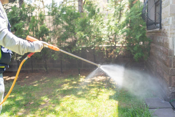 Best Exterminator Services  in Lamar, TX