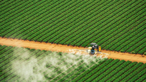 Pest Prevention Services in Lamar, TX