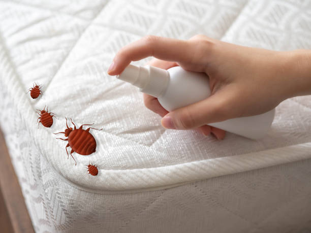 Best Best Pest Control Companies  in Lamar, TX